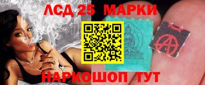 гашик Дубна